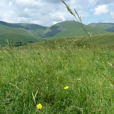 Howgill * Sedbergh